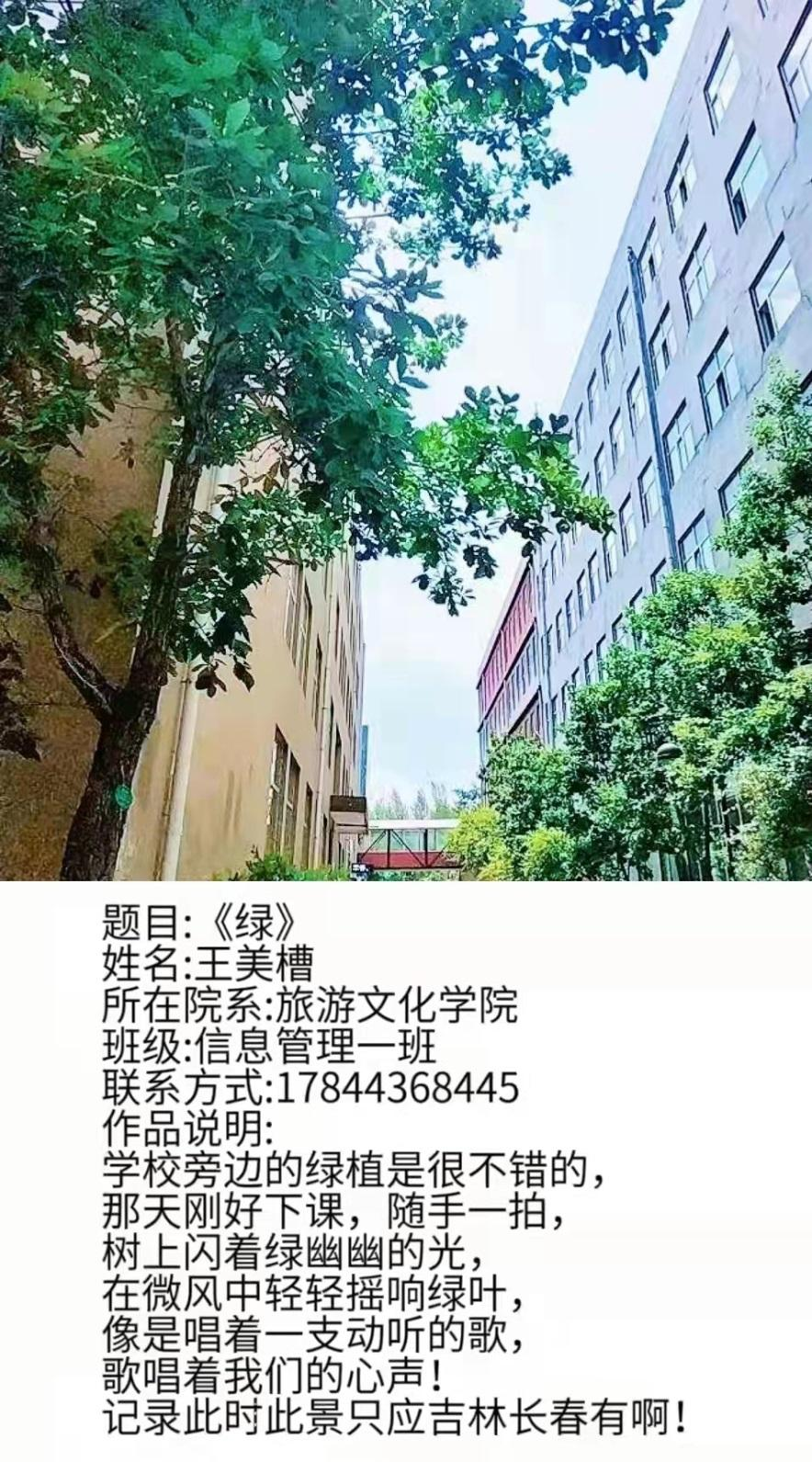 WPS图片编辑5.png 图片